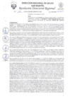 Vista preliminar de documento R.D.R N°1196-2024-DG
