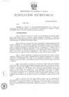 Vista preliminar de documento RS N° 008-2025-MINEM-SG