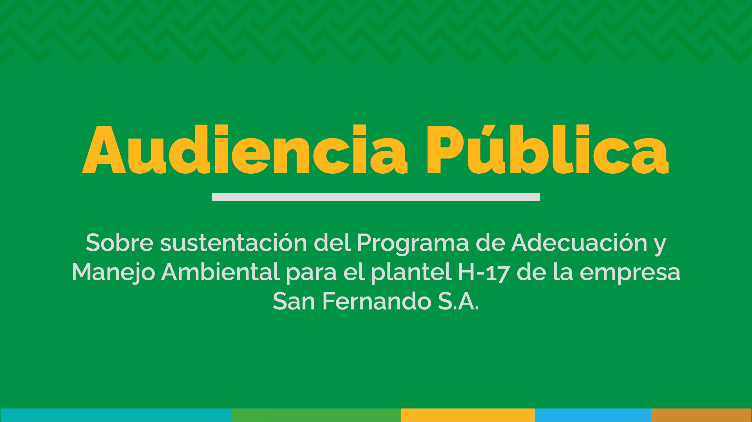 Audiencia Pública San Fernando S.A.