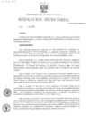 Vista preliminar de documento RS N° 007-2025-MINEM-SG