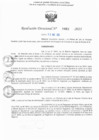 Vista preliminar de documento RD N° 463-2025