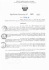Vista preliminar de documento RD N° 478-2025