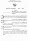 Vista preliminar de documento RD N° 479-2025