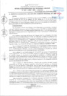 Vista preliminar de documento RGSRLS 0001-2025