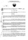 Vista preliminar de documento RDR 0242-2025