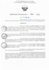 Vista preliminar de documento RD N° 484-2025