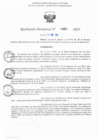Vista preliminar de documento RD N° 485-2025