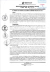 Vista preliminar de documento RGSRLS 0005-2025
