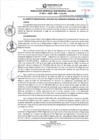 Vista preliminar de documento RGSRLS 0011-2025