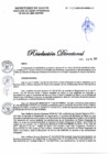 Vista preliminar de documento RD N° 420-2023-DG-DIRIS-LC