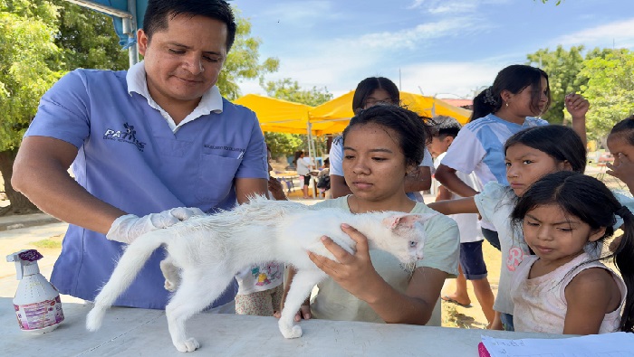 Atención veterinaria