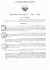 Vista preliminar de documento RD N° 491-2025