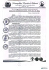Vista preliminar de documento RESOLUCION DE GERENCIA MUNICIPAL N° 015-2025-GM-MDI