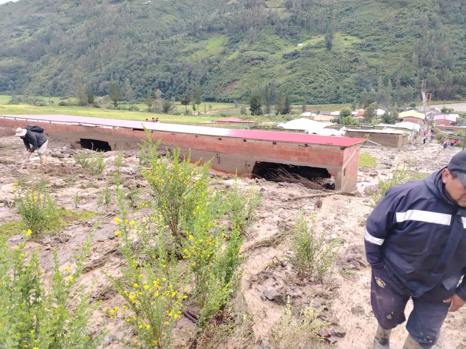Municipalidad distrital de CHALLABAMBA realiza acciones ante la emergencia en la comunidad de MAJOPATA