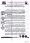 Vista preliminar de documento RESOLUCION DE GERENCIA MUNICIPAL N° 020-2025-GM-MDI