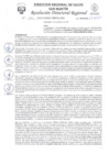 Vista preliminar de documento R.D.R N°1201-2024-DG