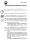 Vista preliminar de documento RGA264-2024