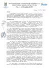 Vista preliminar de documento RES GERENCIA TERRITORIAL N°11