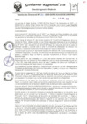 Vista preliminar de documento rdr-034-2020-gore-ica-grde-direpro
