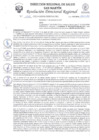 Vista preliminar de documento R.D.R N°1203-2024-DG