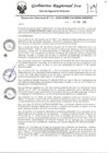 Vista preliminar de documento rdr-038-2020-gore-ica-grde-direpro