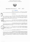 Vista preliminar de documento RD N° 495-2025