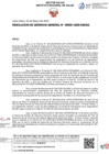 Vista preliminar de documento RGG Nº 001-2025 (1)