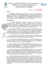 Vista preliminar de documento RESOLUCION DE GERENCIA DESARROLLO TERRITORIAL E INFRAESTRUCTURA N°029-2025-GDTI-MDP/T
