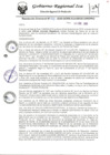 Vista preliminar de documento rdr-041-2020-gore-ica-grde-direpro
