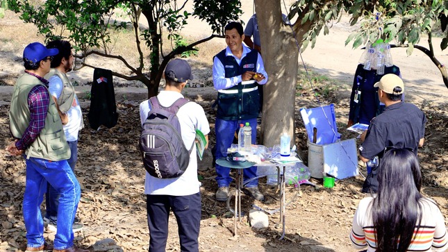 Capacitación sobre el control de la mosca de la fruta y manejo de poda en mandarinos en Huaral 