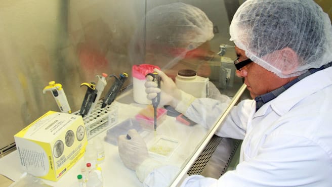 Minsa emite alerta epidemiológica por fiebre amarilla e intensifica acciones en Amazonas, Huánuco y San Martín