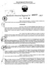 Vista preliminar de documento RDR 0243-2025