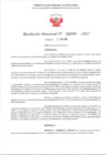 Vista preliminar de documento RD 308-2025 - CONTRA DOC - HUAMALIANO PRUDENCIO REYNALDO ANTONIO