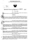 Vista preliminar de documento RDR 0244-2025