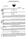 Vista preliminar de documento RDR 0245-2025