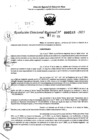 Vista preliminar de documento RDR 0246-2025