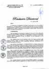 Vista preliminar de documento RD N° 431-2023-DG-DIRIS-LC