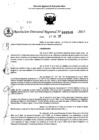 Vista preliminar de documento RDR 0248-2025