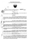 Vista preliminar de documento RDR 0249-2025