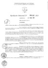 Vista preliminar de documento 1307