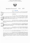 Vista preliminar de documento RD N° 513-2025