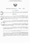 Vista preliminar de documento RD N° 515-2025