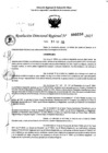 Vista preliminar de documento RDR 0250-2025