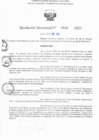 Vista preliminar de documento RD N° 516-2025