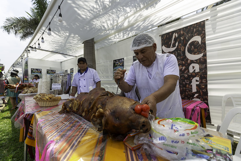 Limeños podrán disfrutar de feria “Expo Vive Saludable Junín 2025”