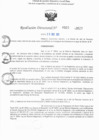 Vista preliminar de documento RD N° 521-2025