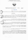 Vista preliminar de documento RD N° 523-2025