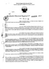 Vista preliminar de documento RDR 0252-2025