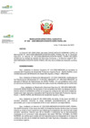 Vista preliminar de documento RDE N° 055-2025-DE