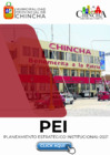 Vista preliminar de documento PEI